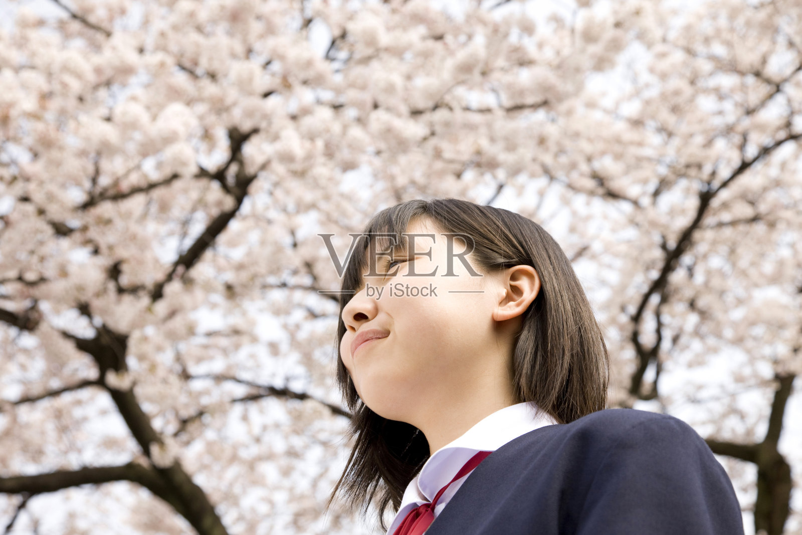 樱花下的女子初中生照片摄影图片