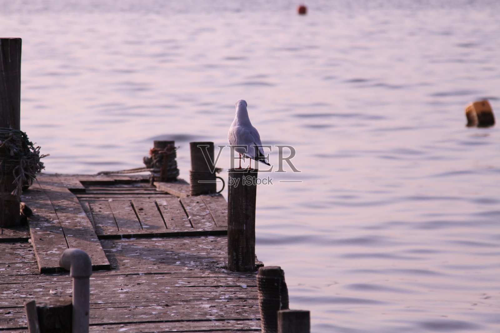 土耳其首都斯坦布尔，东部旅游城市。照片摄影图片
