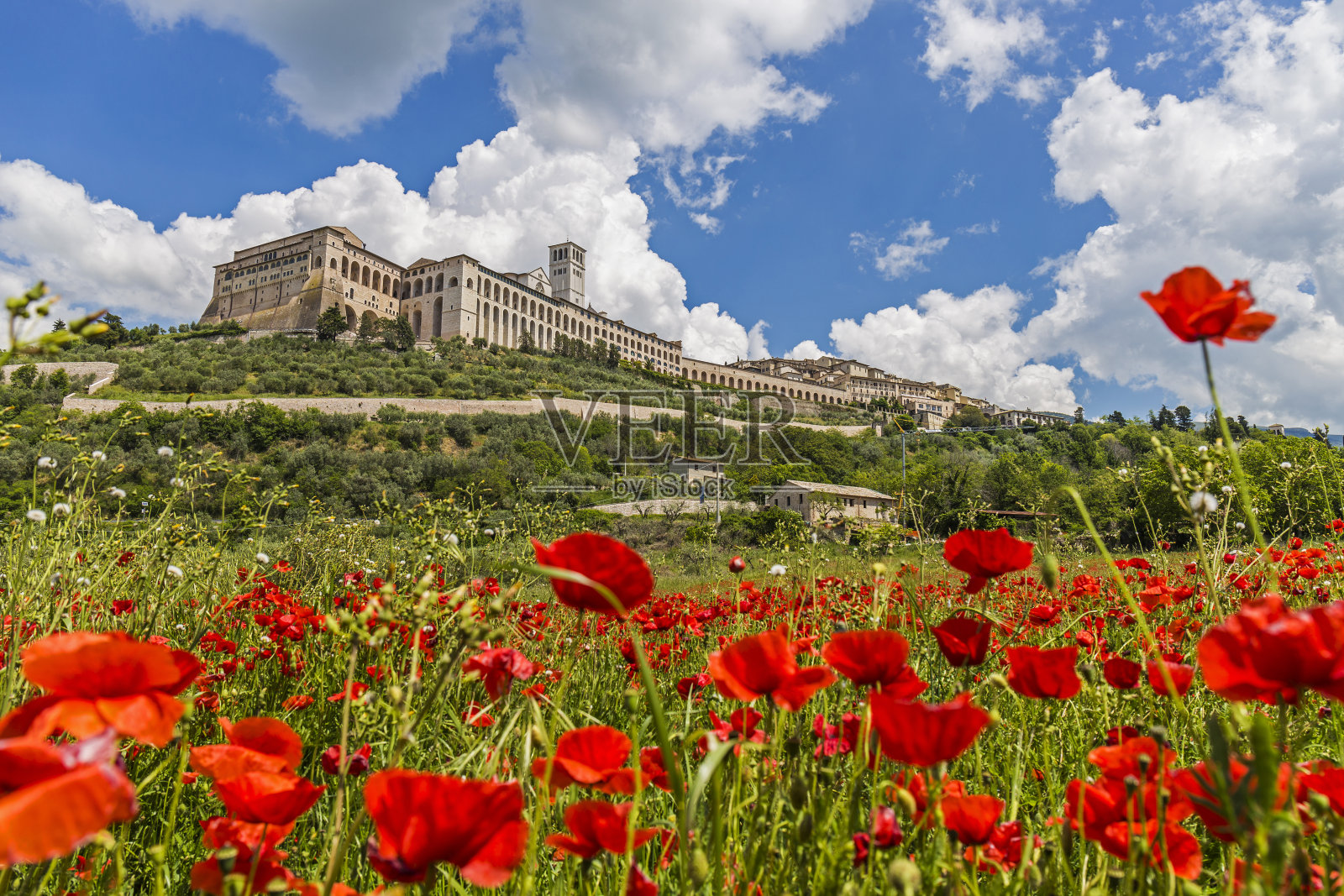 意大利历史古城阿西西。圣弗朗西斯大教堂照片摄影图片