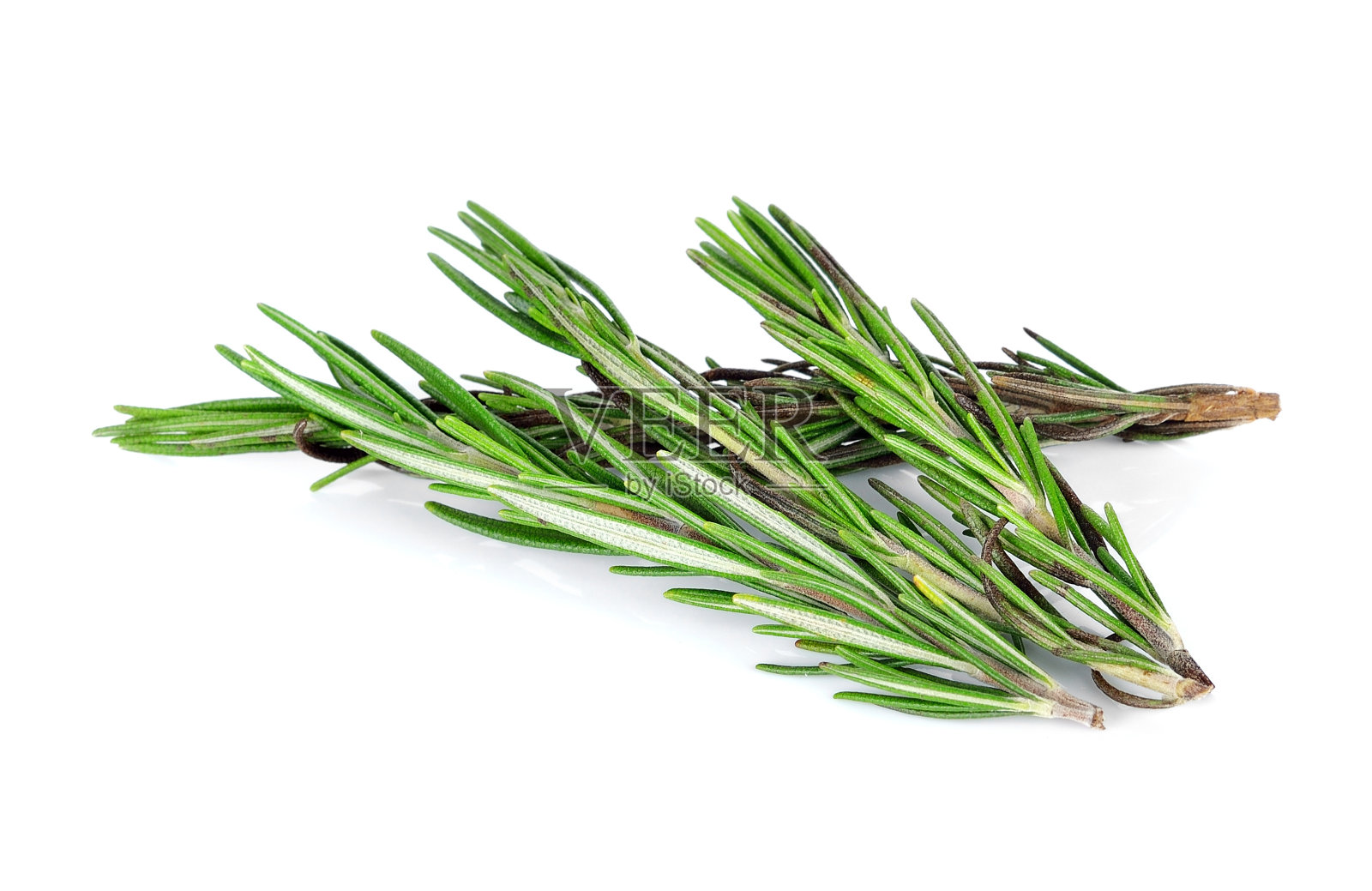 在白色背景上孤立的迷迭香照片摄影图片