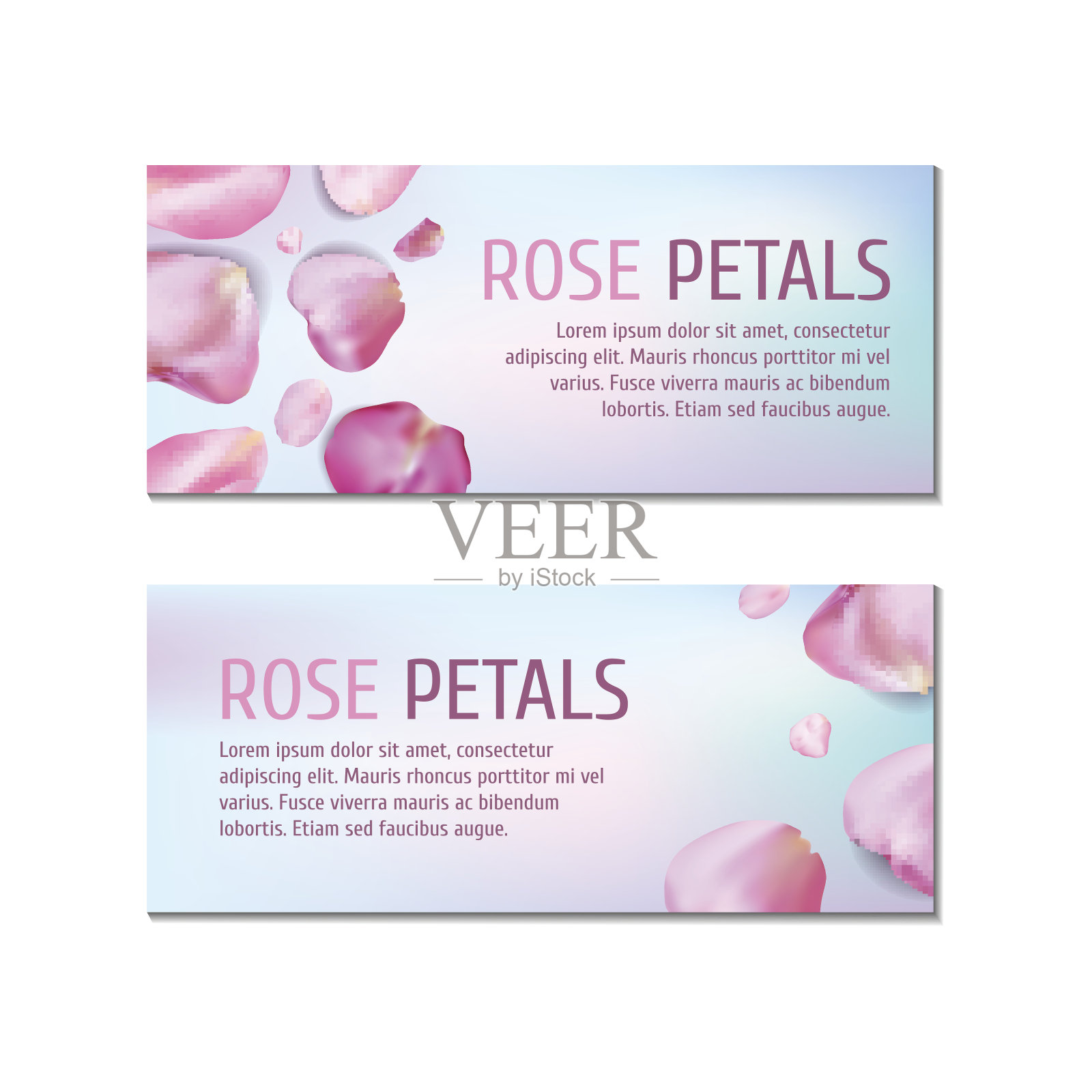 玫瑰花瓣横幅设计模板素材