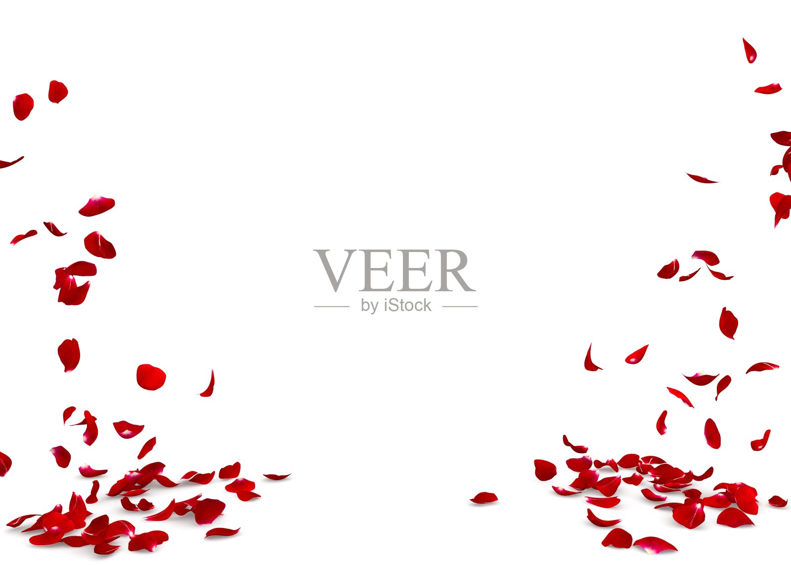 玫瑰花瓣飘落到地板上照片摄影图片