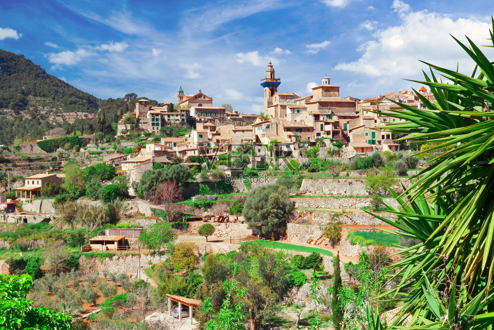 西班牙马略卡岛瓦尔德莫萨镇照片摄影图片