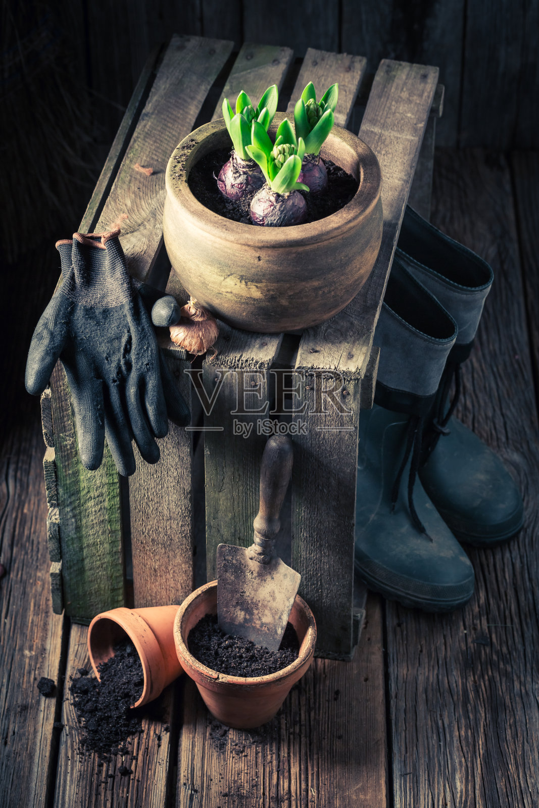 春天的小花和古老的红陶罐照片摄影图片