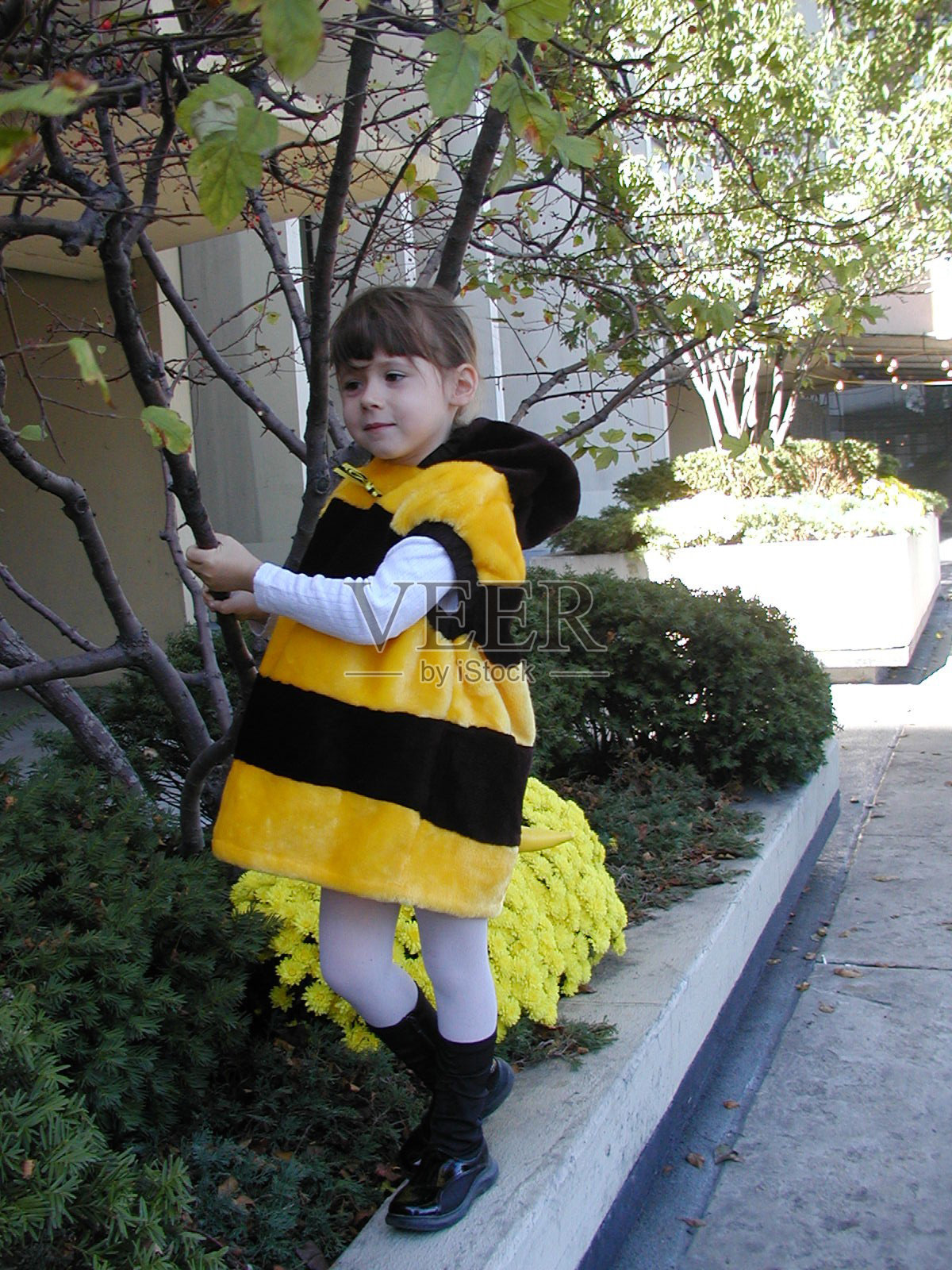 穿着大黄蜂服装的孩子照片摄影图片
