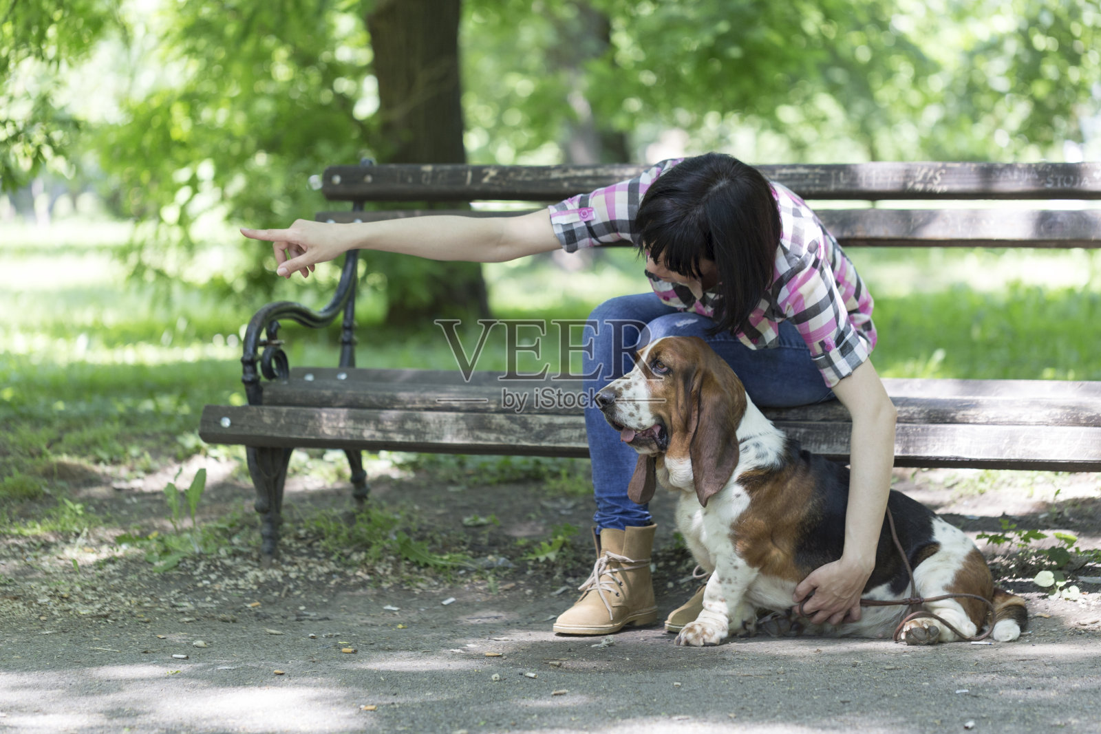 一个女人和他漂亮的狗坐在公园的长椅上，告诉他往哪个方向看。照片摄影图片