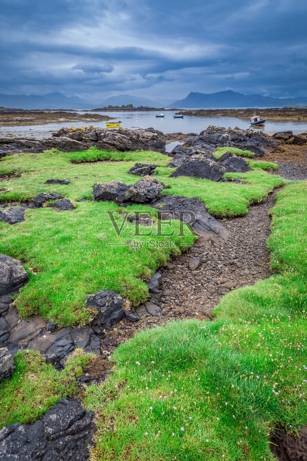 夏天退潮时苏格兰的绿色海岸照片摄影图片