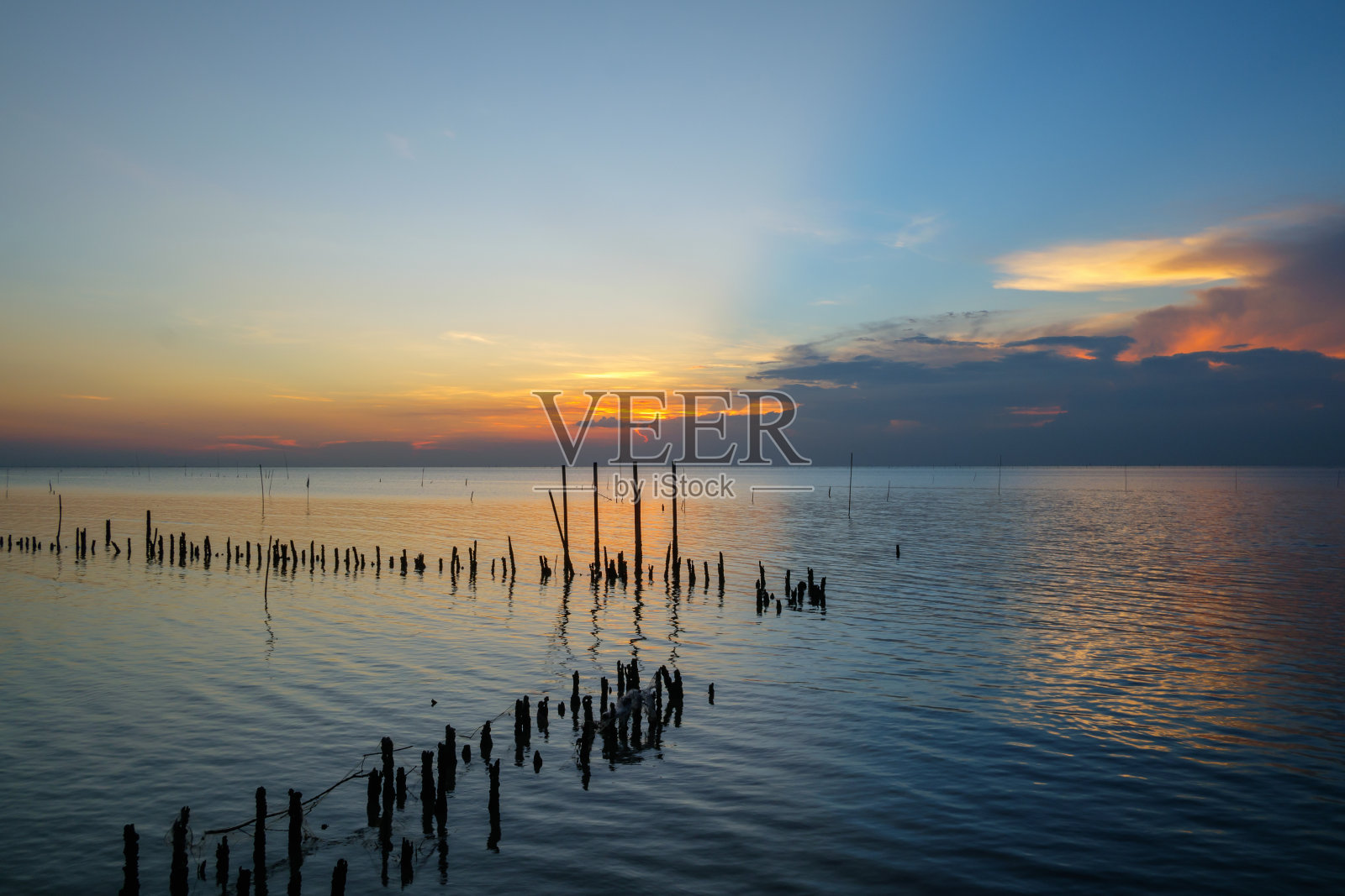 红树林保护和生态旅游自然教育中心照片摄影图片