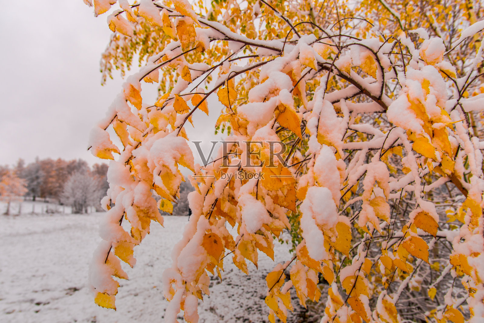 冬天的风景照片摄影图片