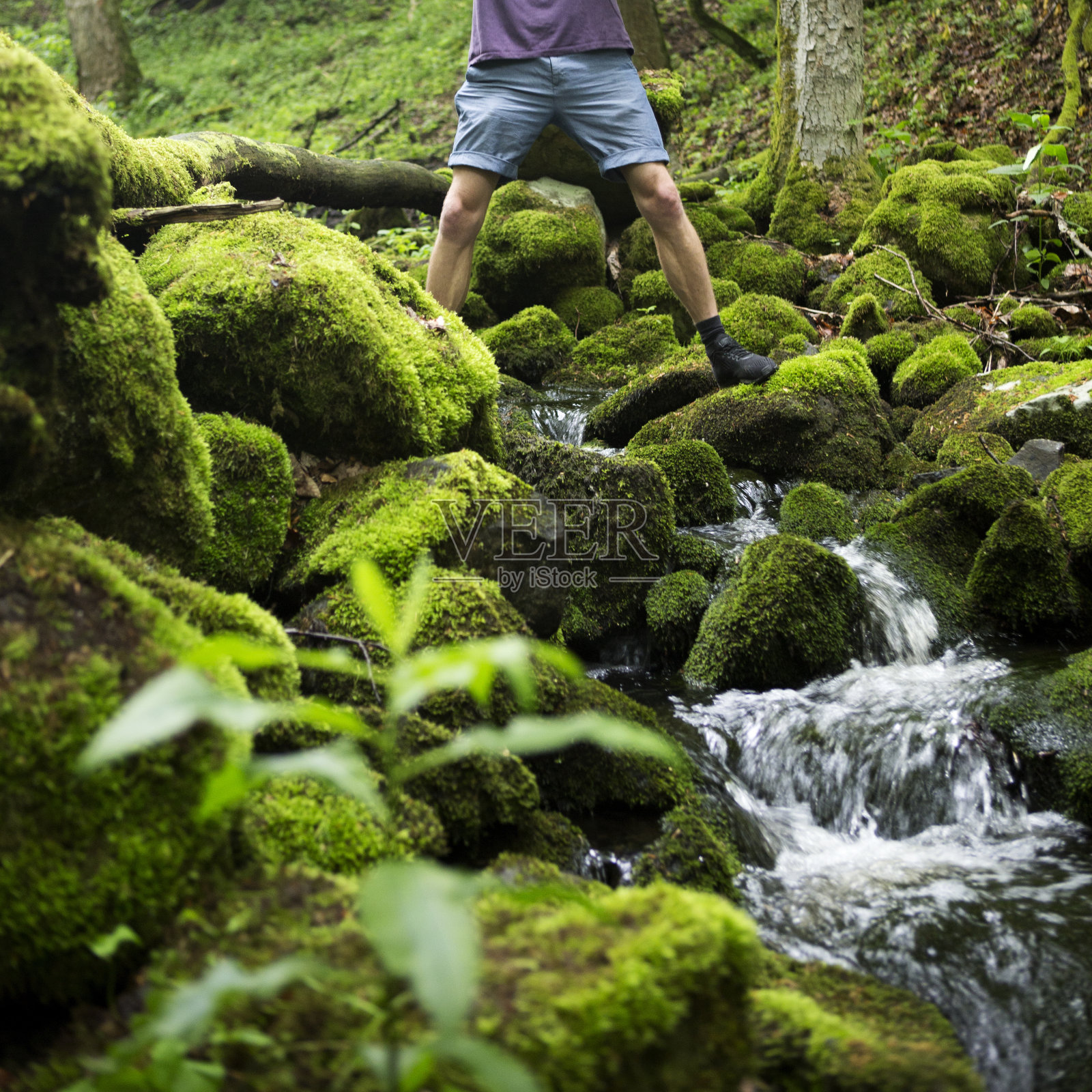 一个年轻人正在绿色的森林里穿过一条小溪照片摄影图片