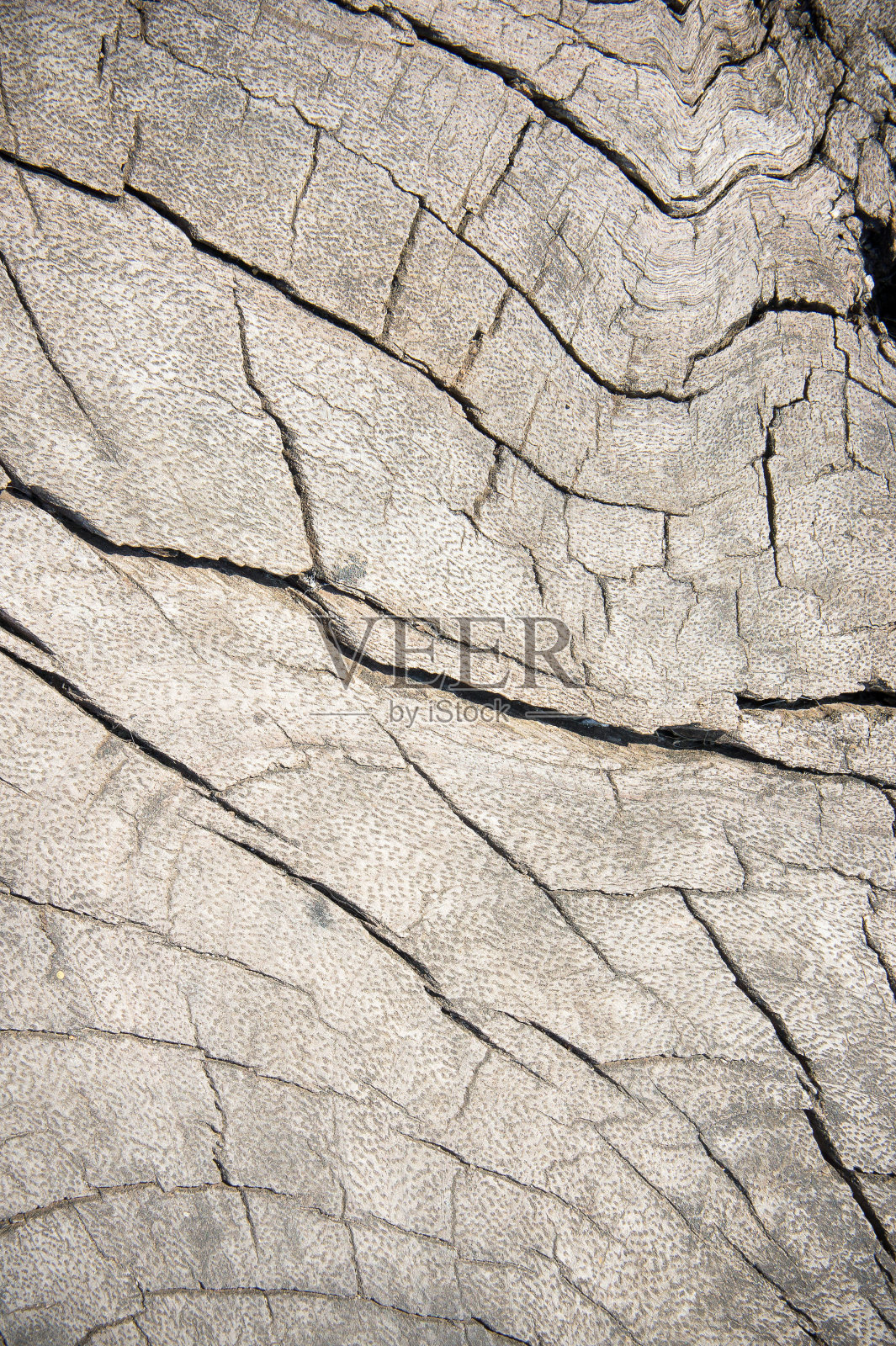 纹理木橡木风格较老，背景木旧脏照片摄影图片