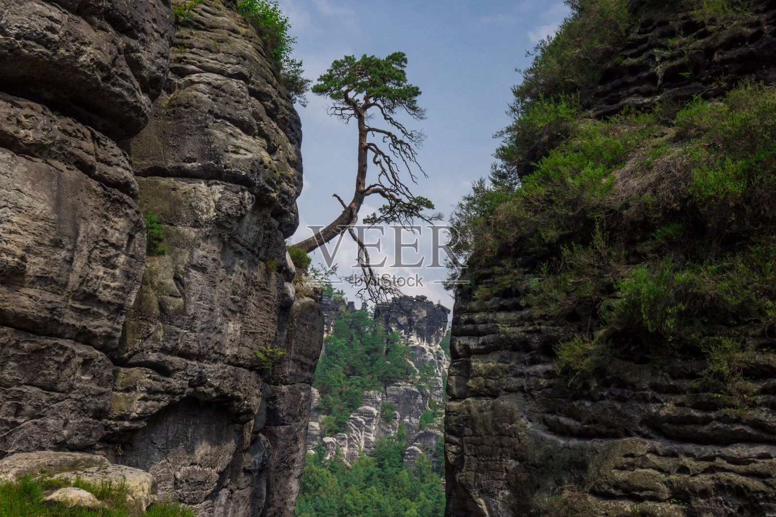 德国易北砂岩山的风景照片摄影图片