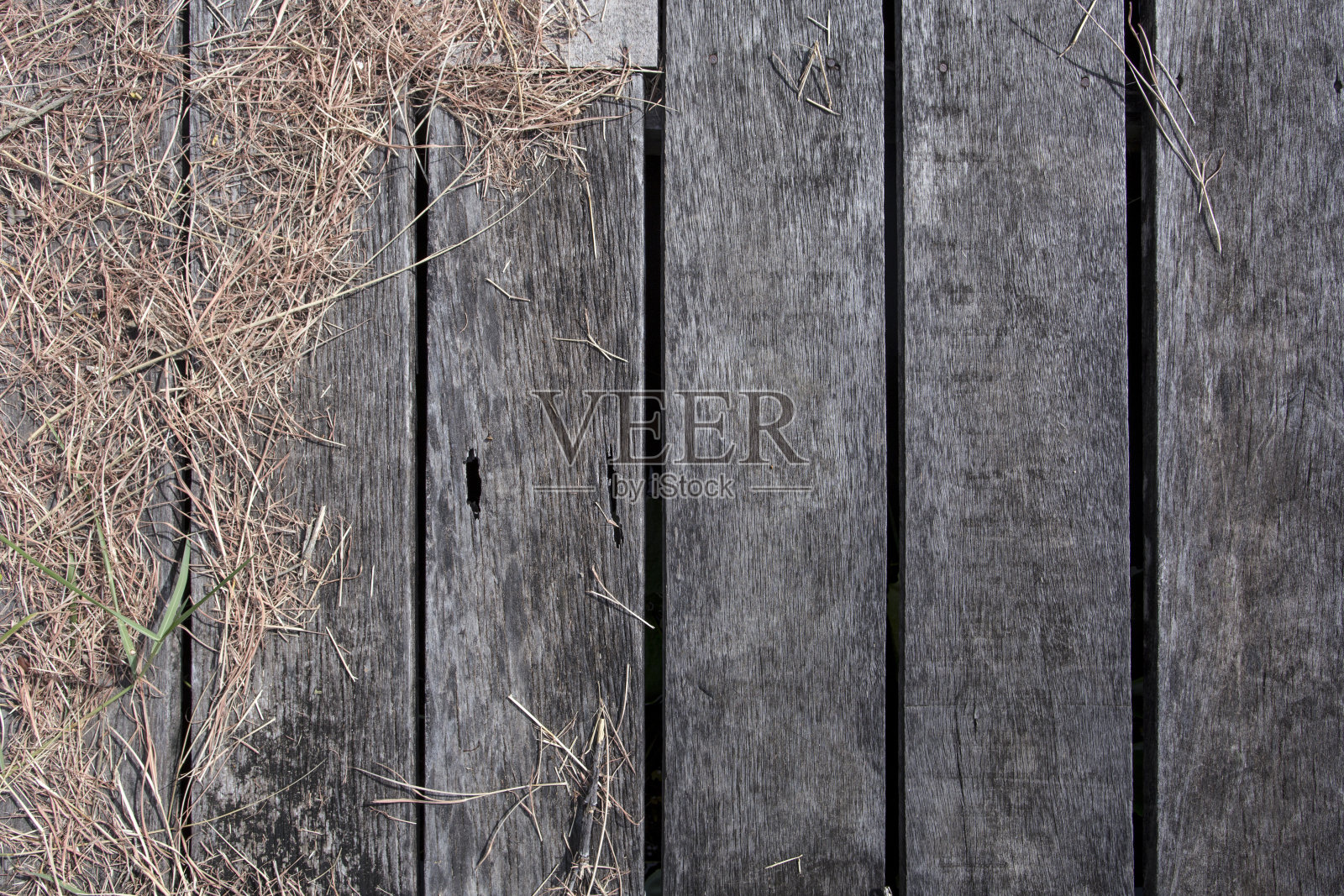 木草背景照片摄影图片