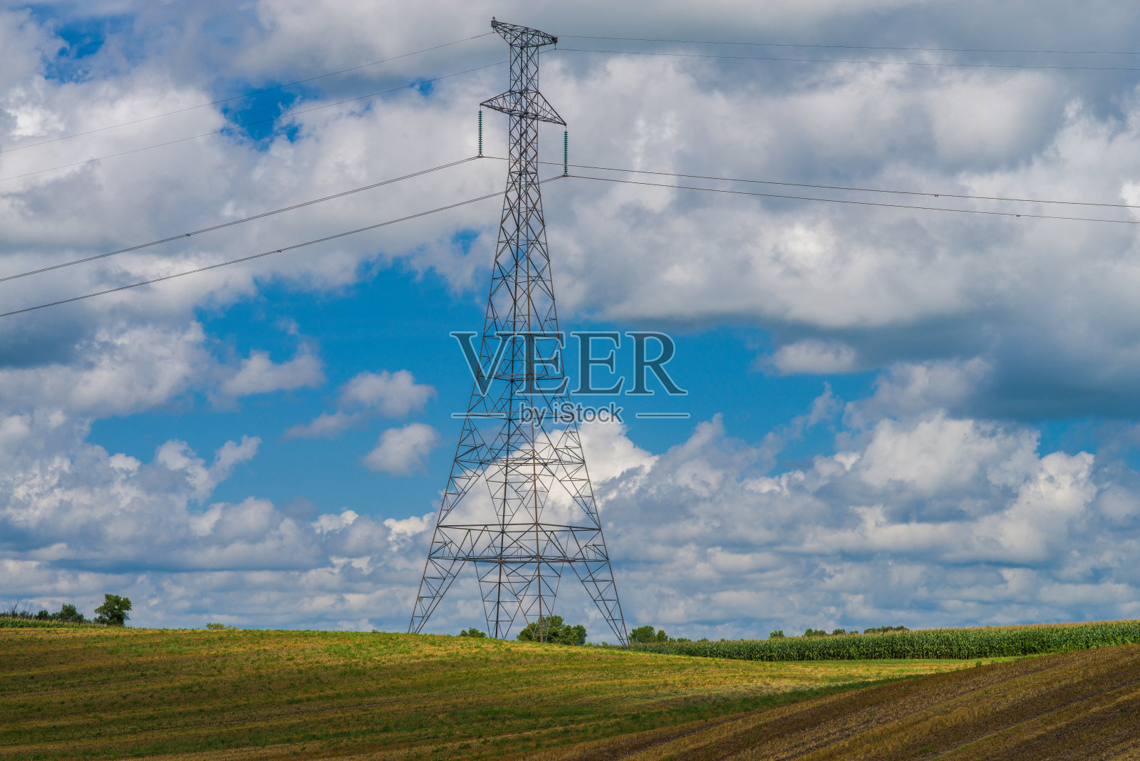 农田上方的输电塔照片摄影图片