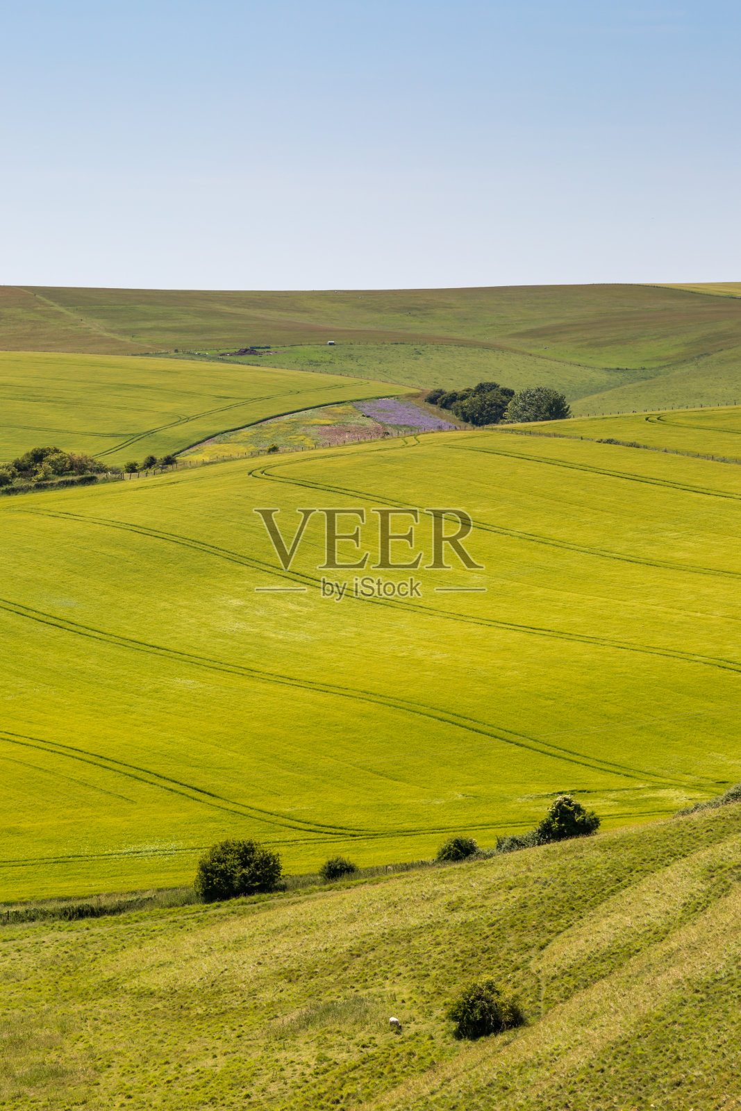 拼凑的风景照片摄影图片