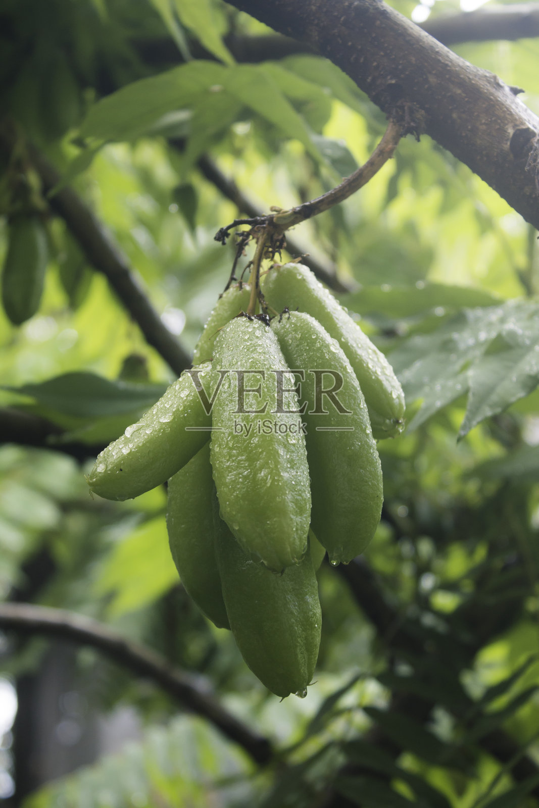 科幻照片摄影图片