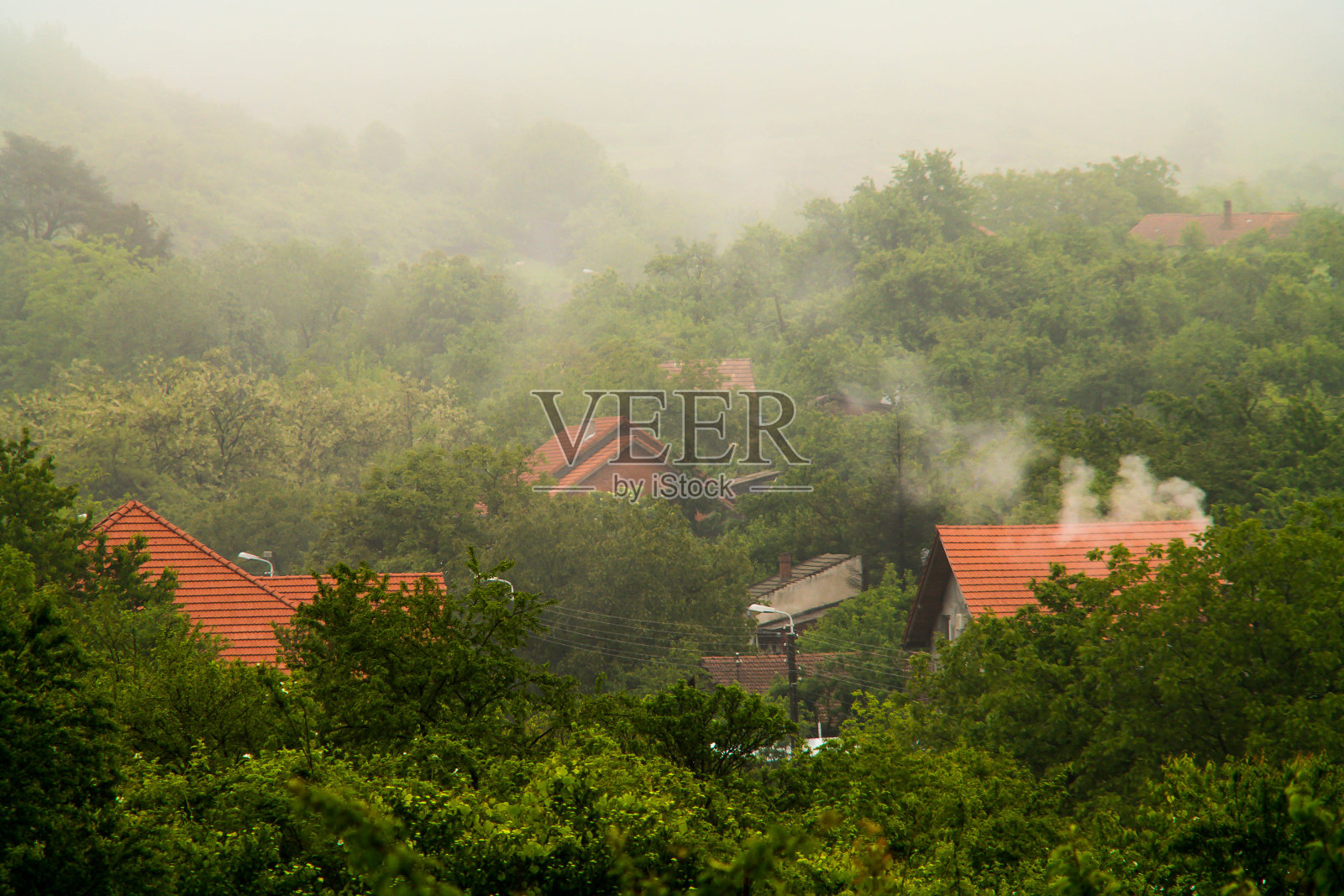 乡村的清晨有雾。照片摄影图片