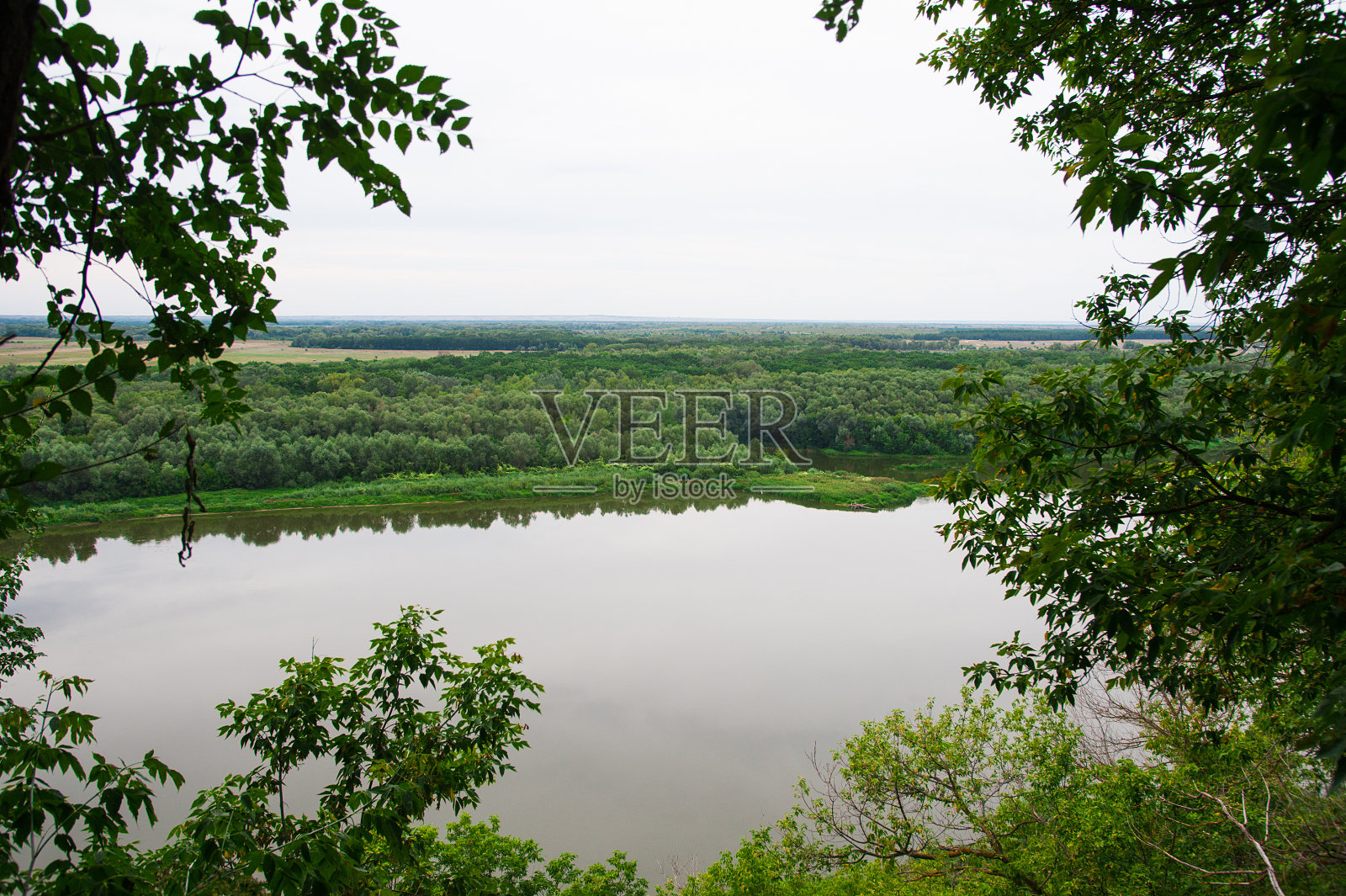 夏日的河岸风光照片摄影图片