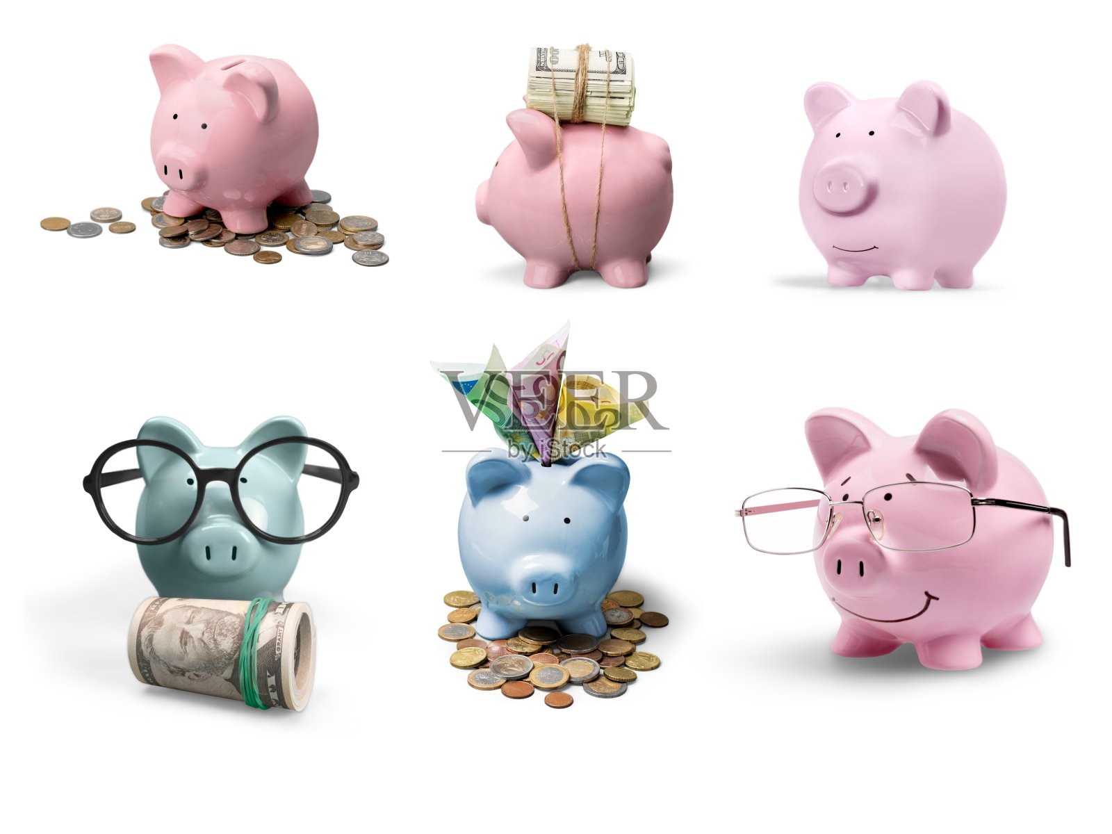 小猪。照片摄影图片