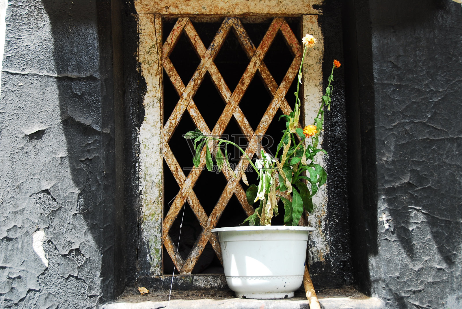 废弃的窗口照片摄影图片