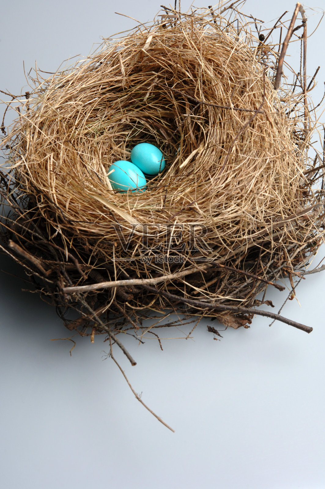 .．.比丛林里的两个人强照片摄影图片