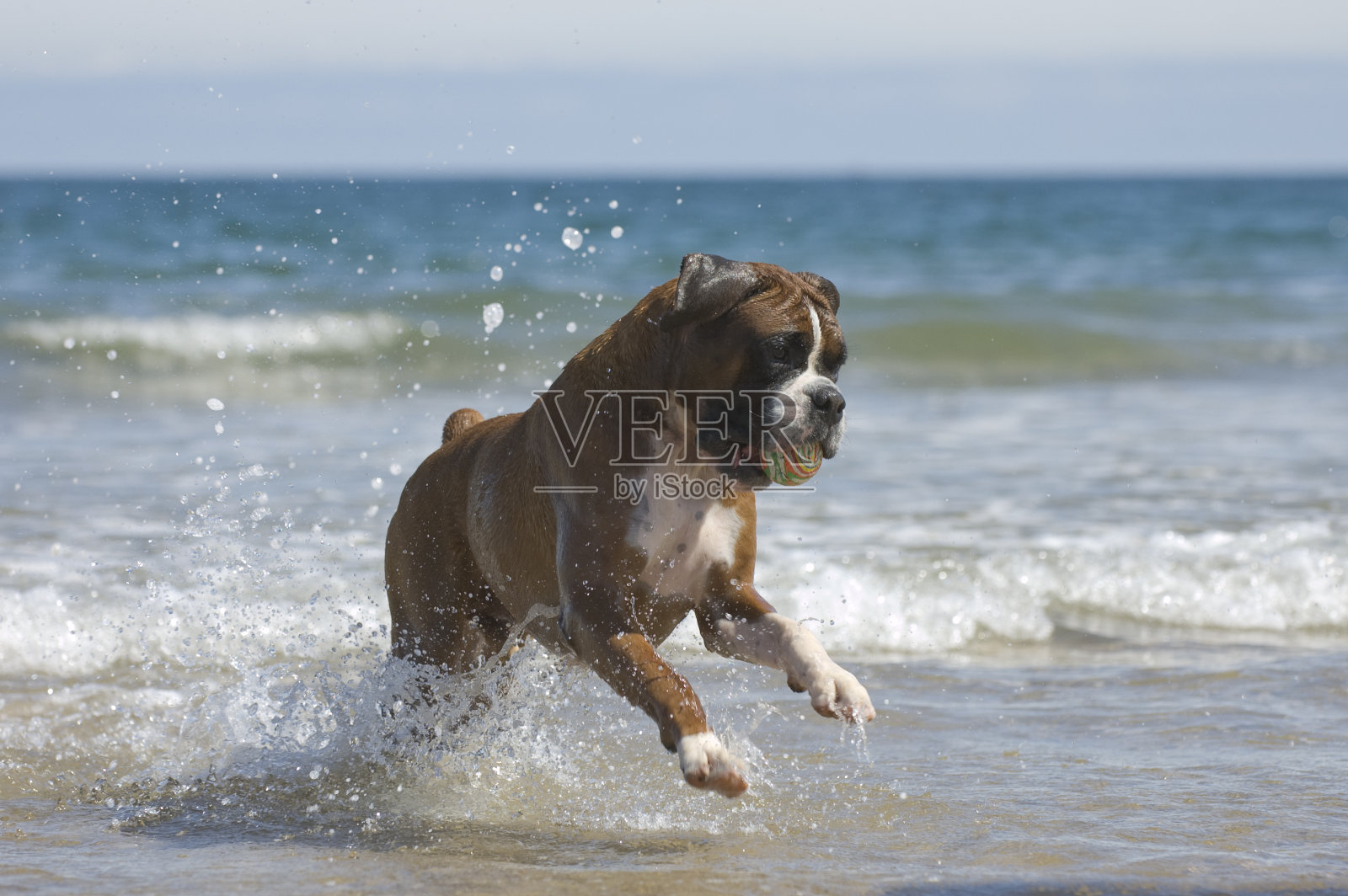 飞溅照片摄影图片