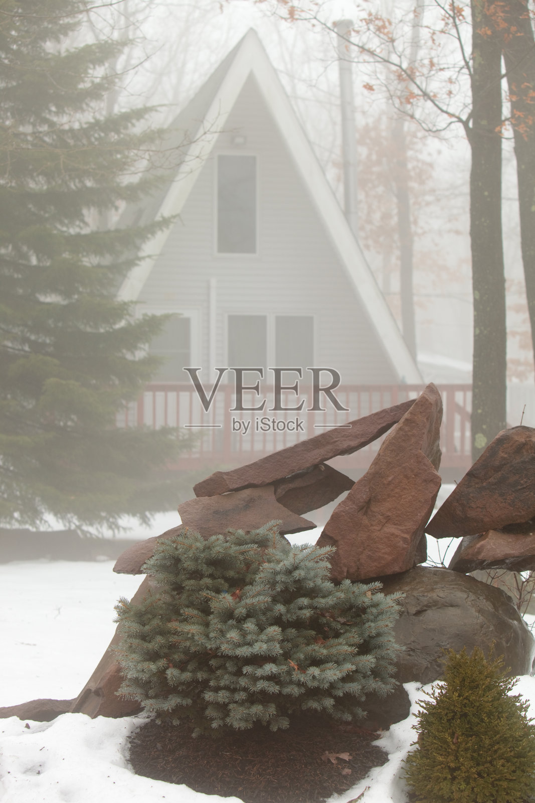 雾林中的页岩照片摄影图片