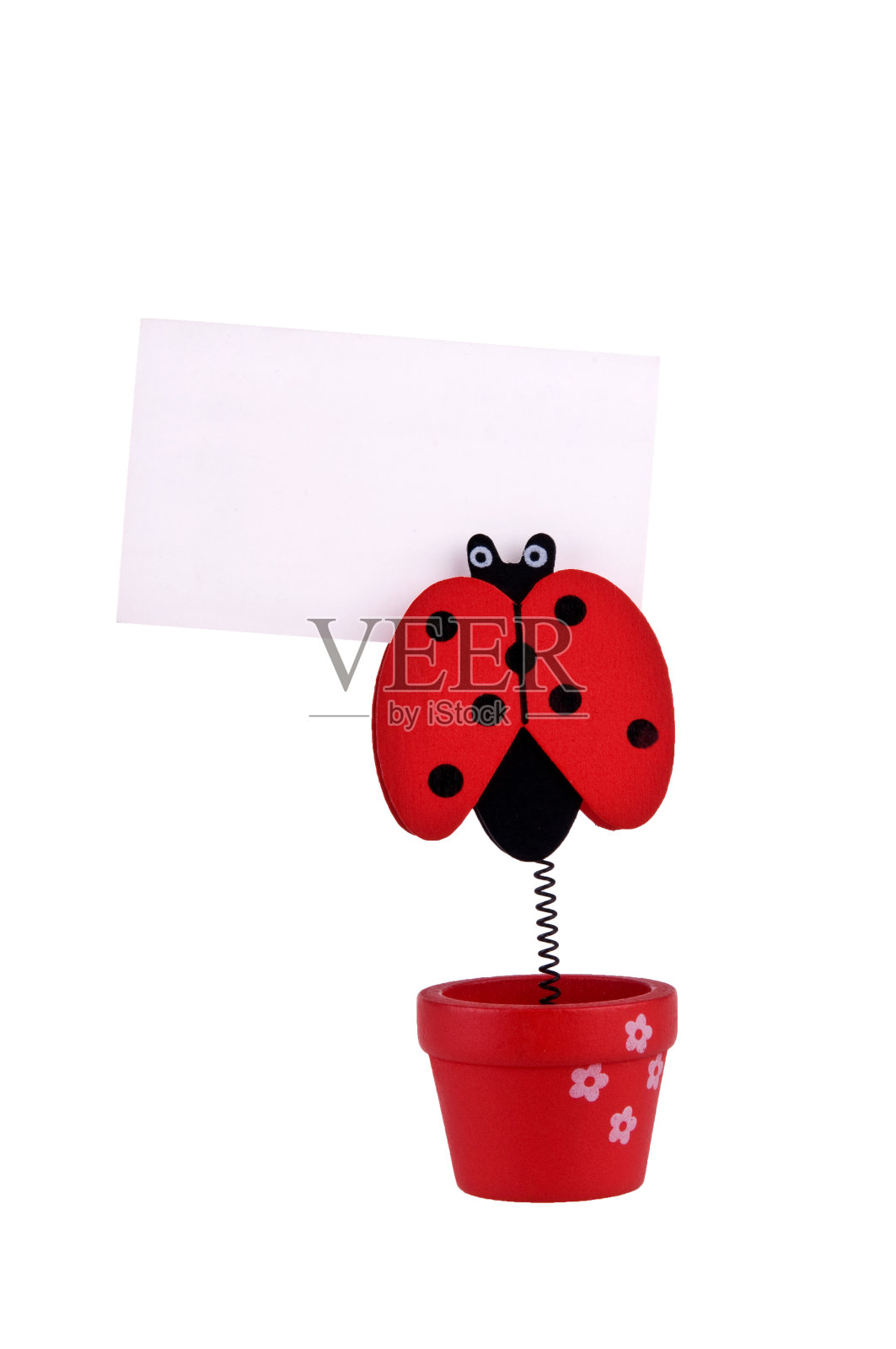 隔离瓢虫卡片持有人照片摄影图片