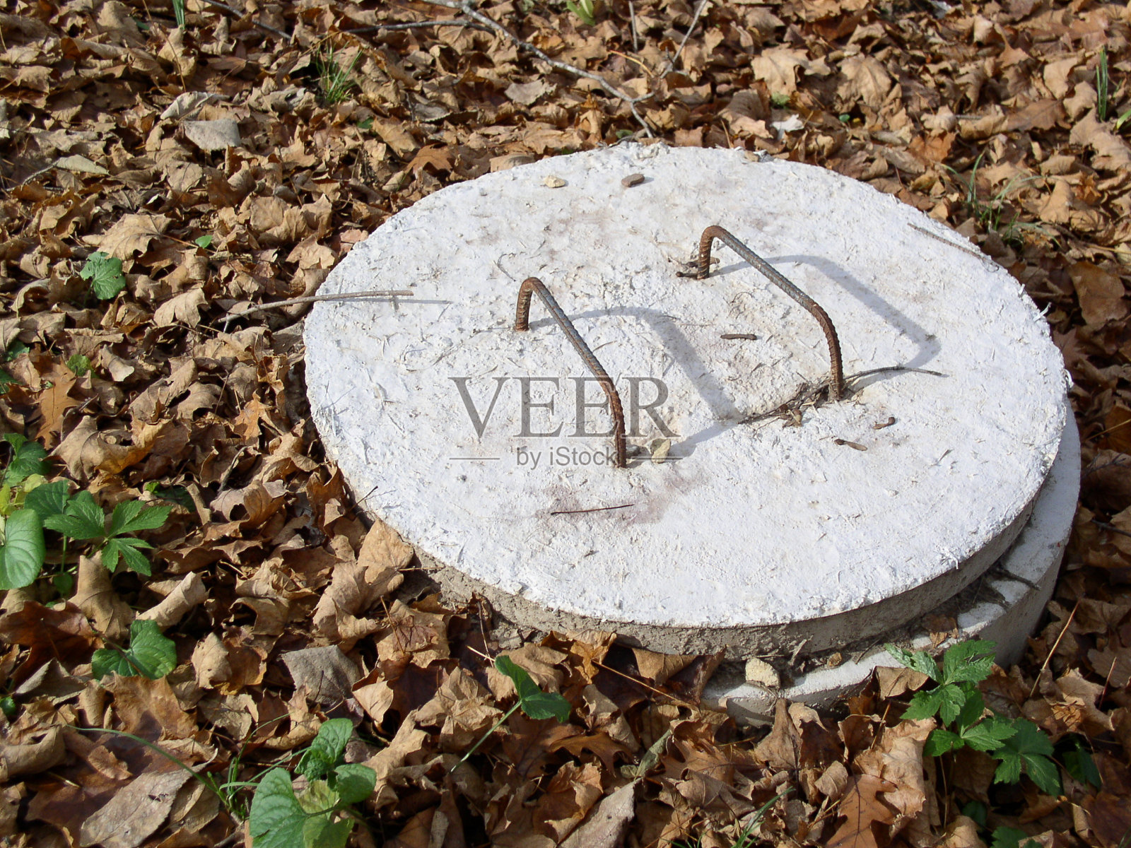 化粪池盖-秋天照片摄影图片