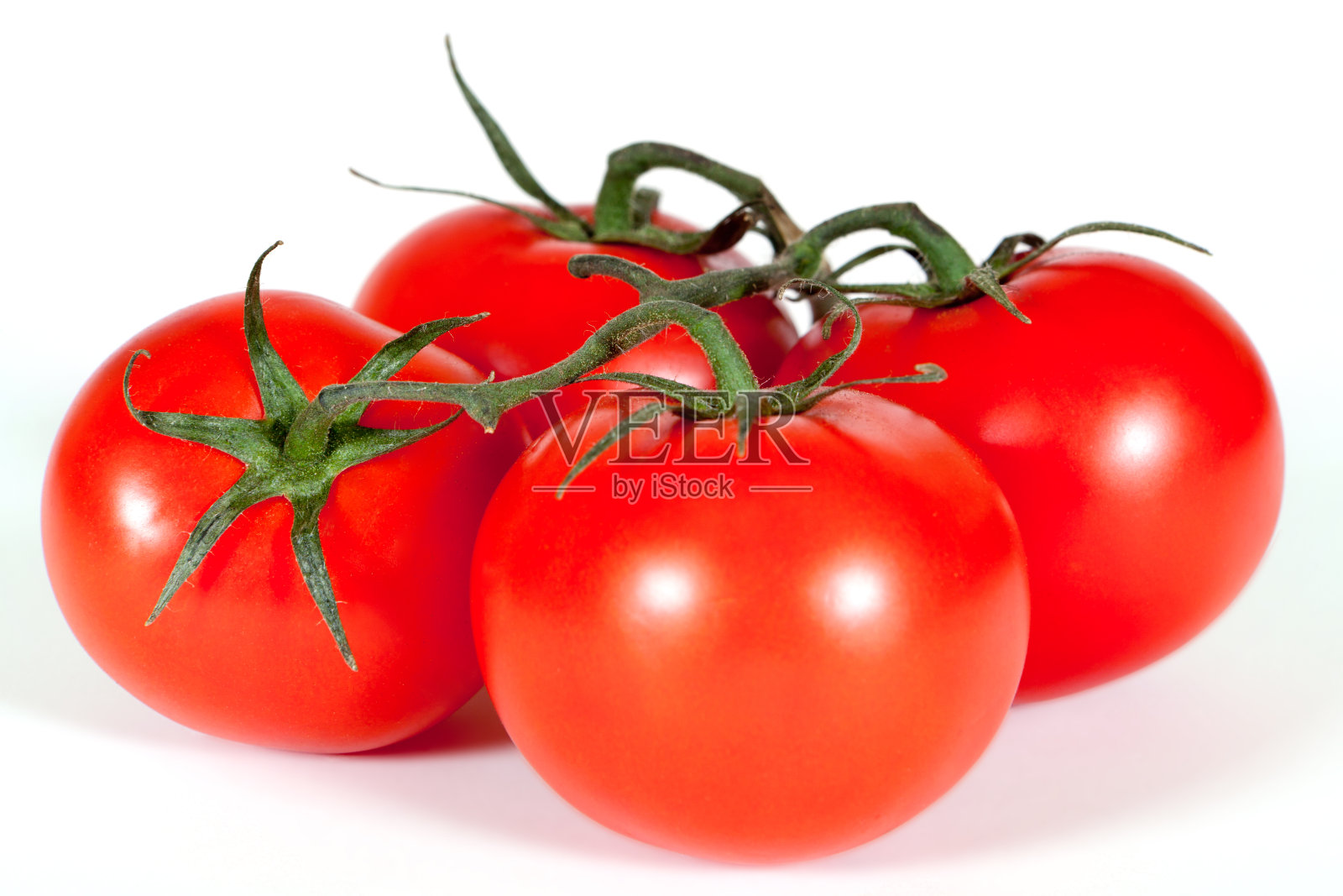 番茄照片摄影图片