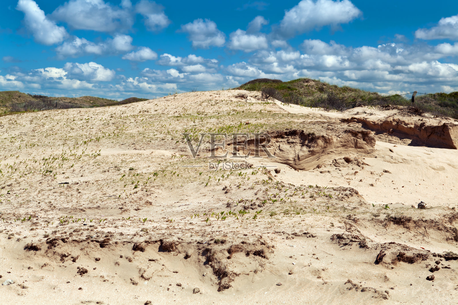 赞德沃特的沙丘到泽照片摄影图片