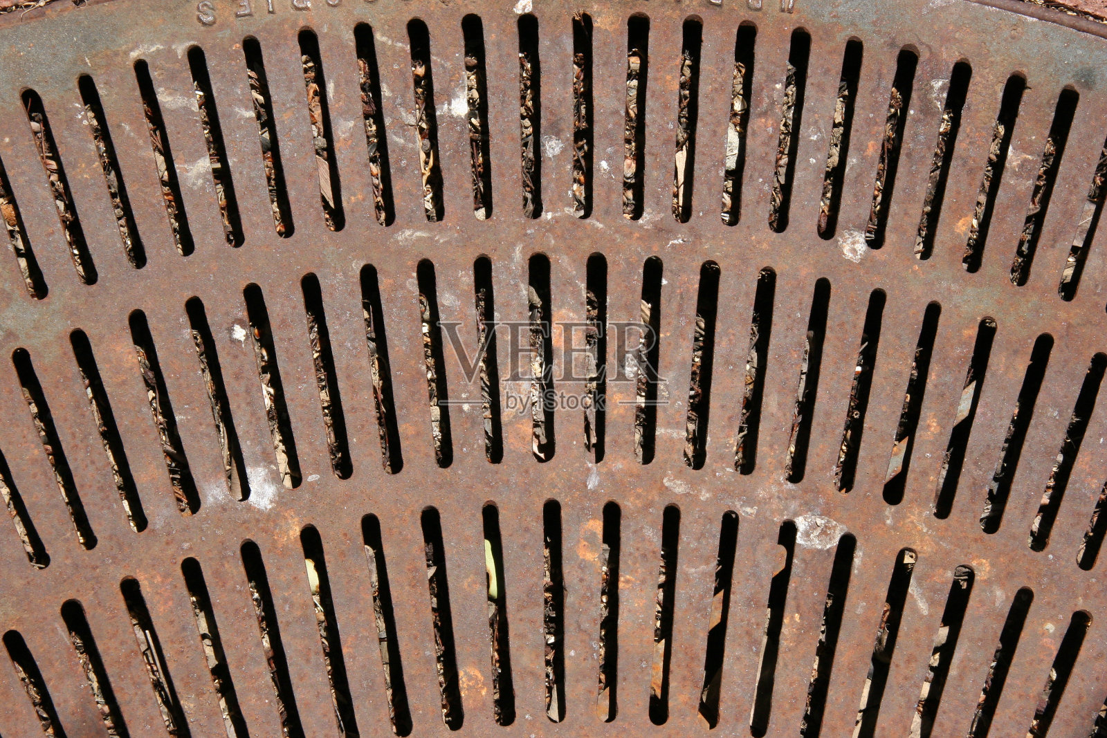 金属环树照片摄影图片