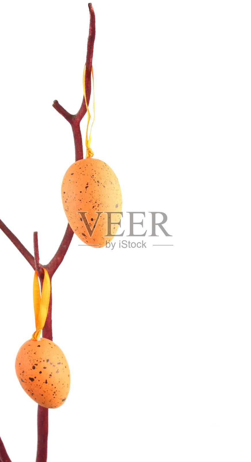 复活节彩蛋挂在树枝上照片摄影图片