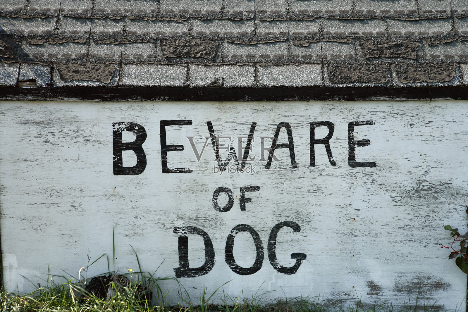 当心恶犬照片摄影图片