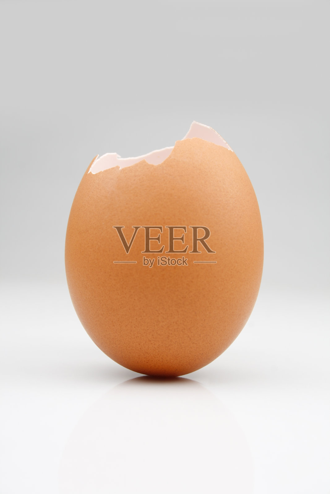 蛋壳照片摄影图片