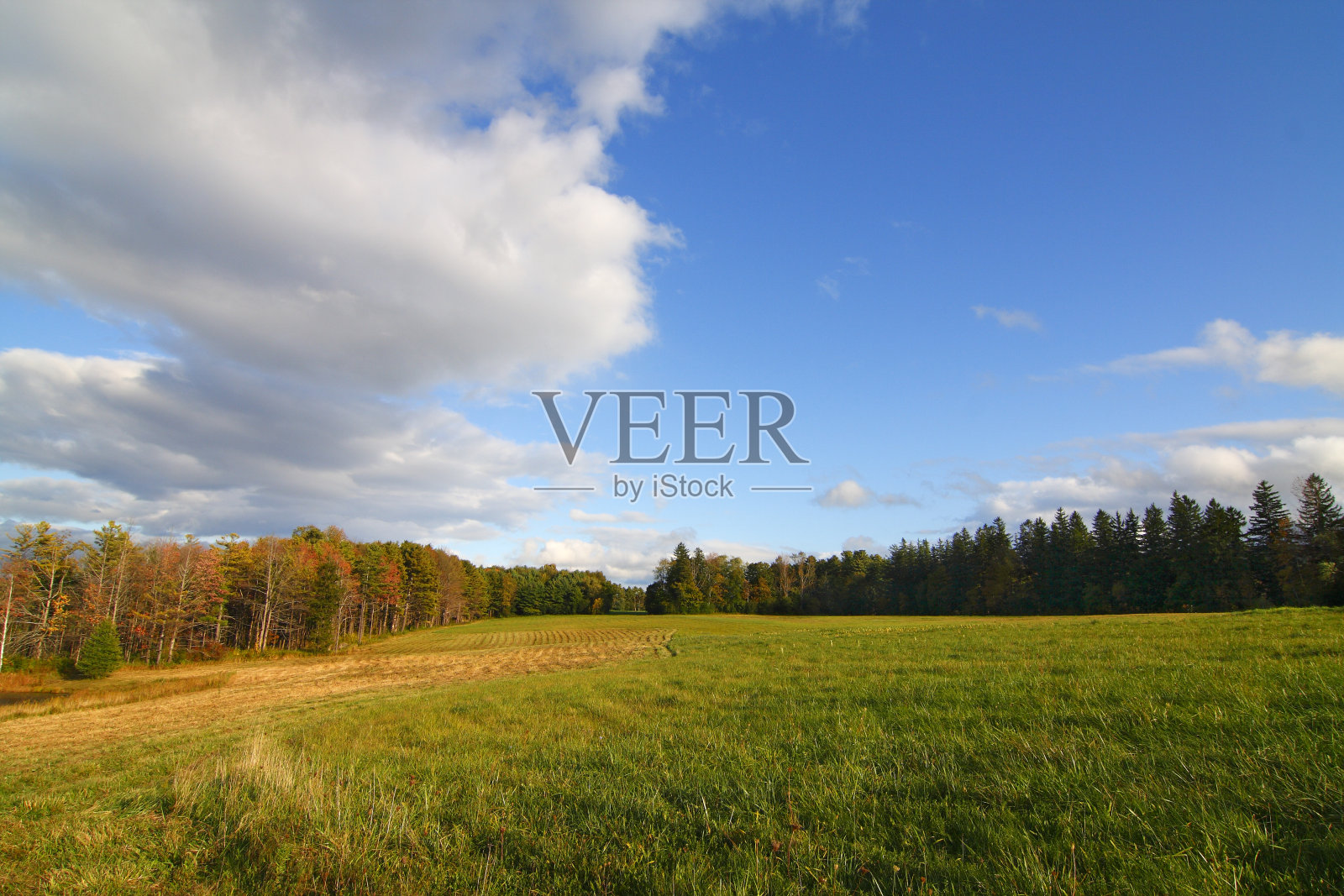 蓝色的天空照片摄影图片