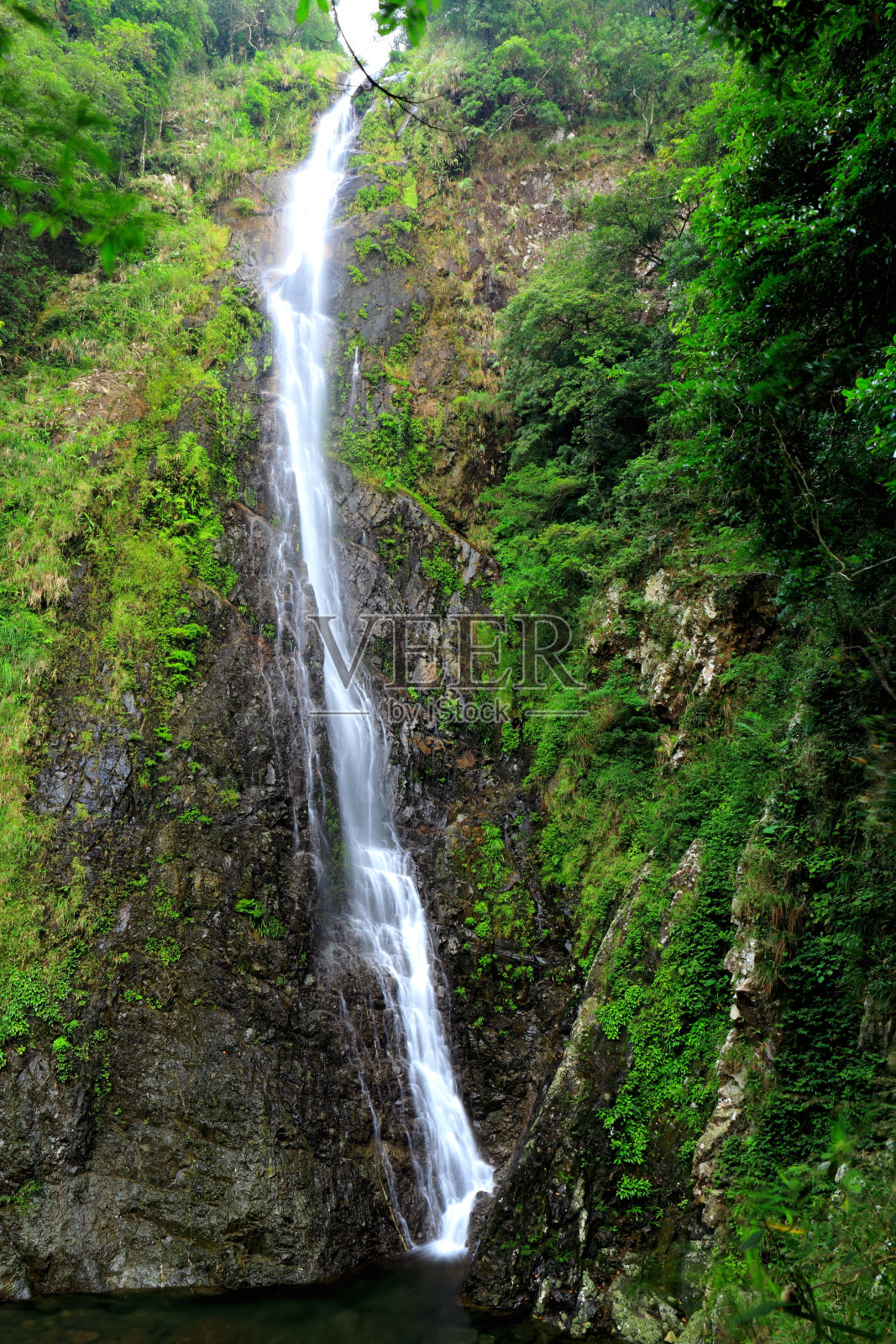 森林瀑布照片摄影图片