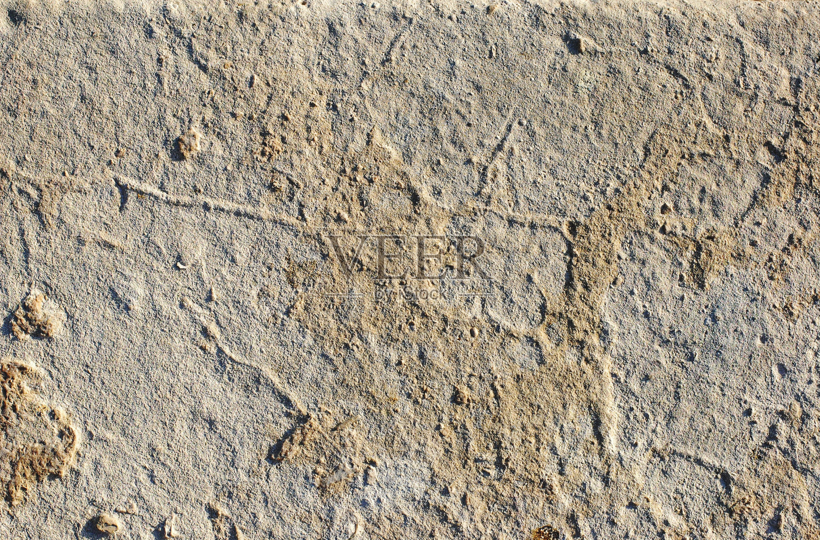 石灰质石材纹理照片摄影图片