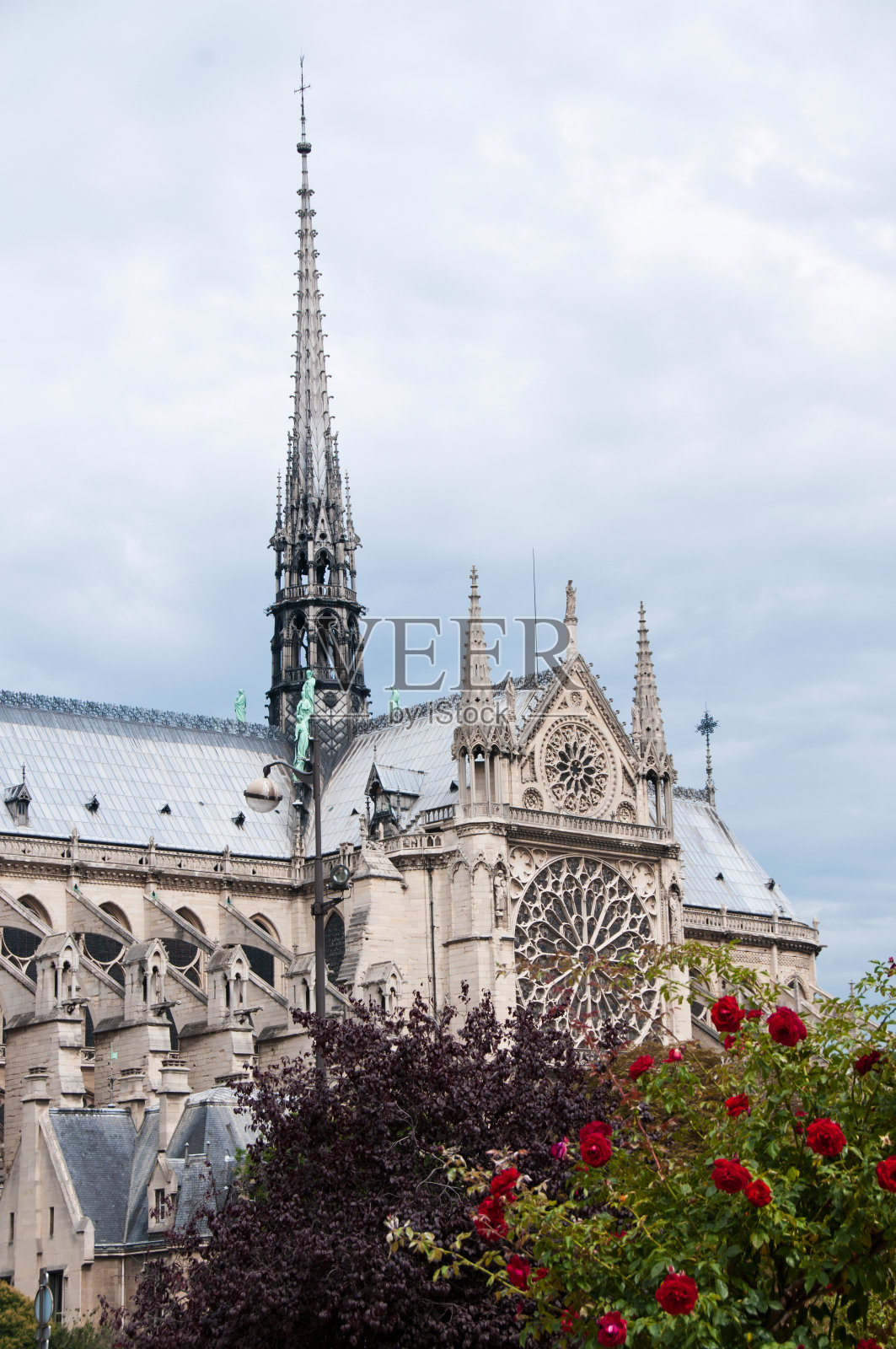 巴黎圣母院的玫瑰窗照片摄影图片