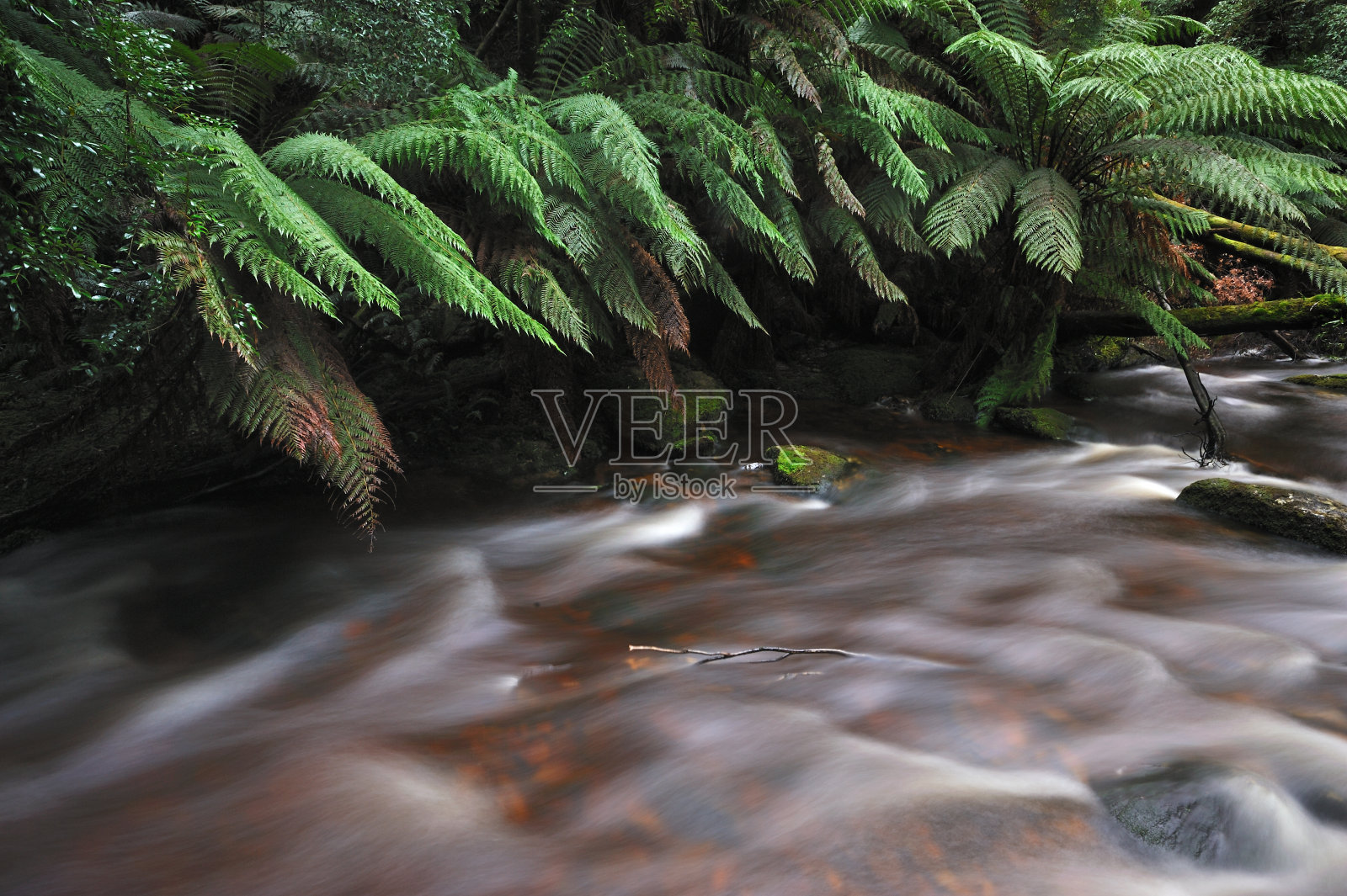 耶路撒冷国家公园的城墙照片摄影图片