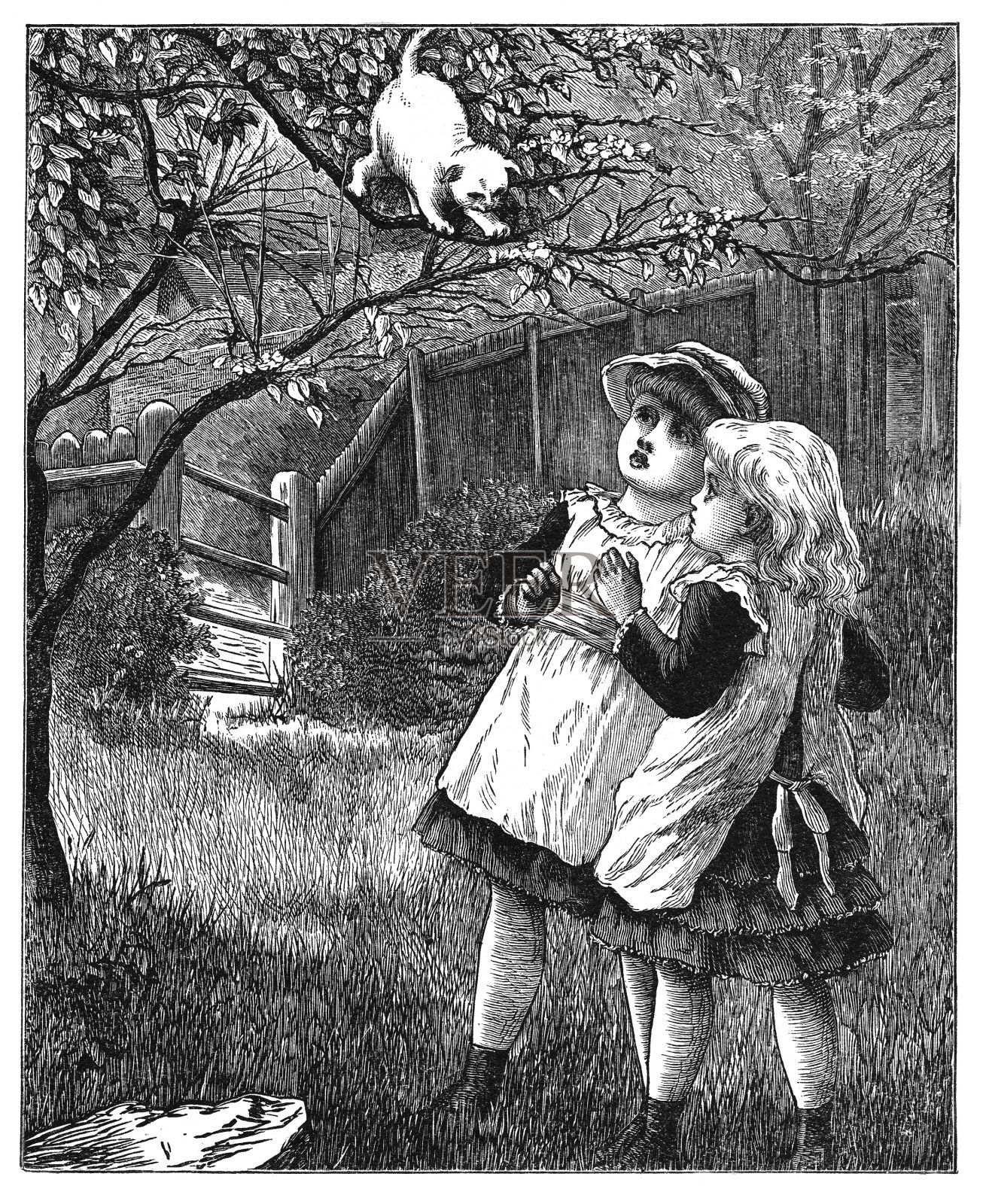 树上的猫插画图片素材