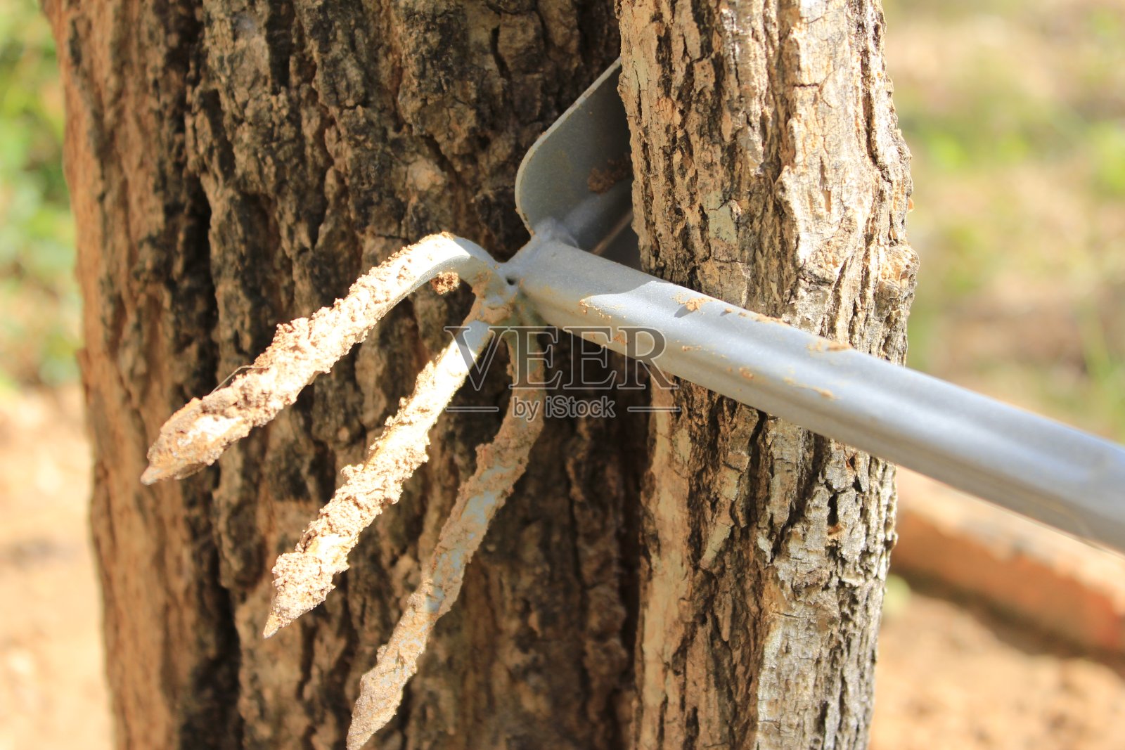 花园工具照片摄影图片