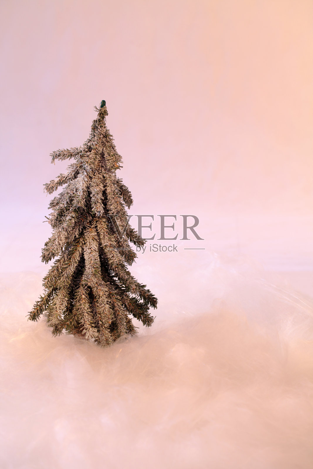 圣诞树。照片摄影图片