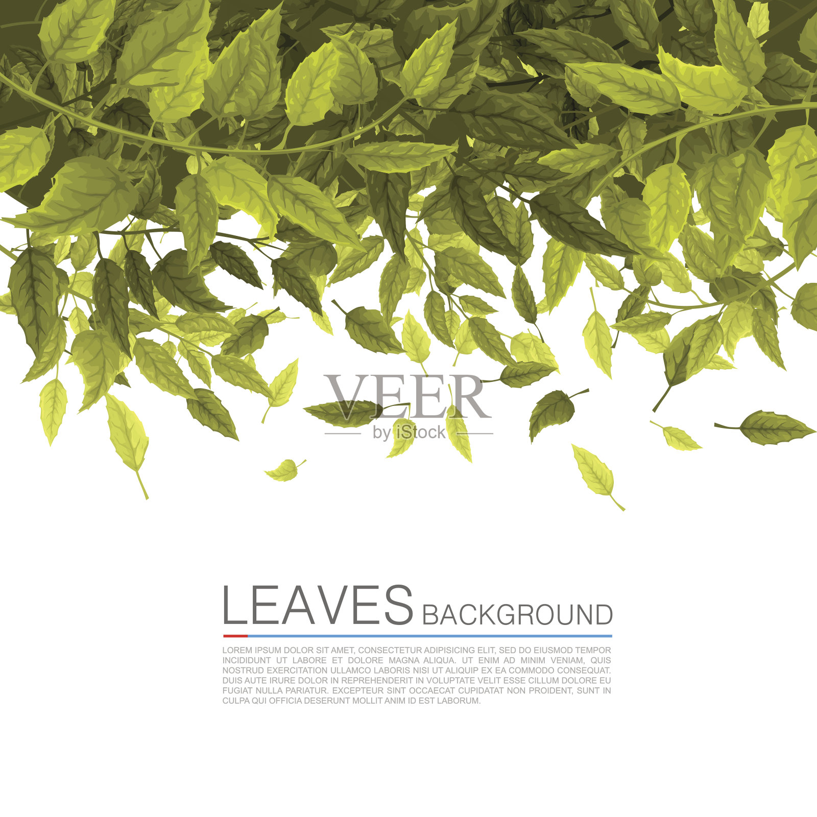 把绿叶盖在白色的背景上插画图片素材