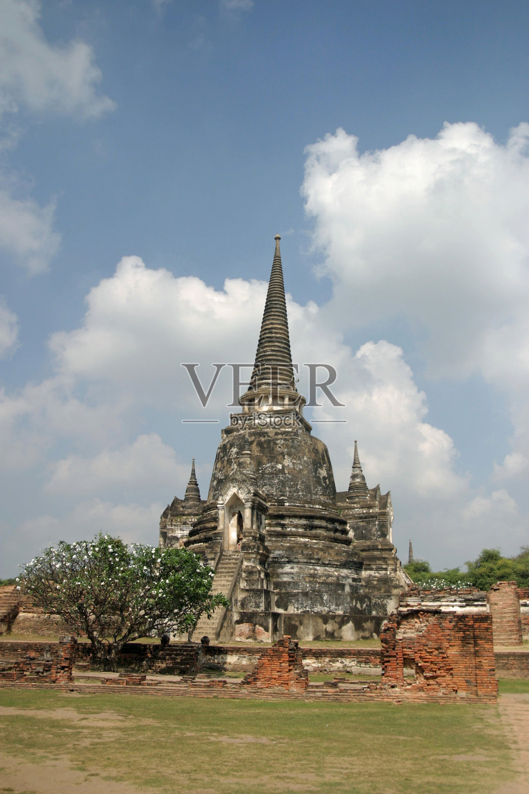 泰国大城府的佛寺寺照片摄影图片