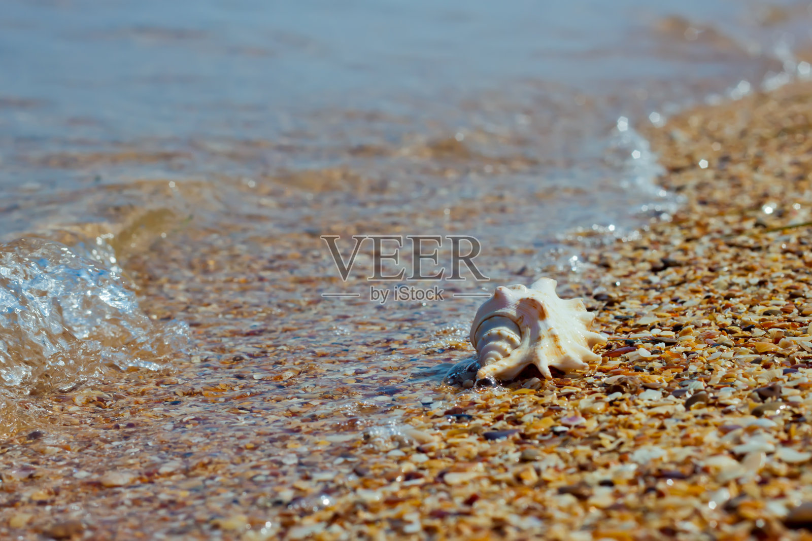 海浪中的小石子上的贝壳照片摄影图片
