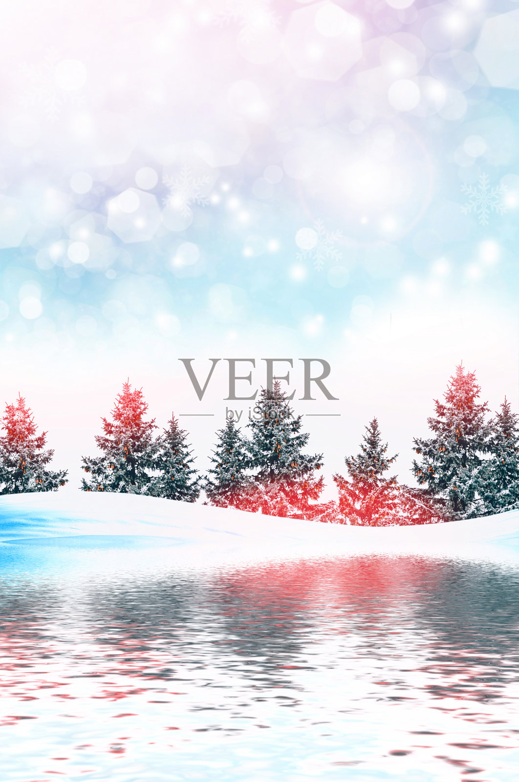 冰雪覆盖的树木。照片摄影图片