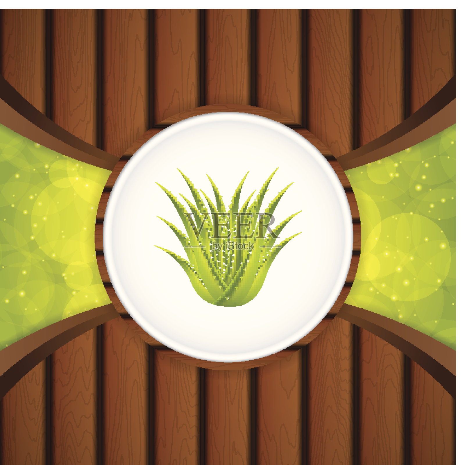 芦荟插画图片素材