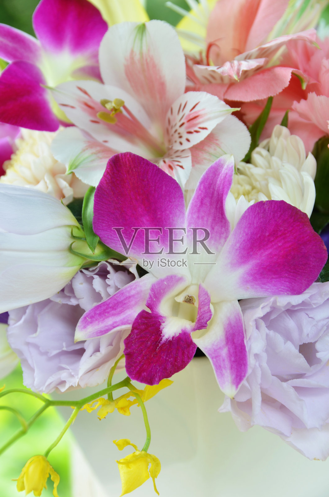 兰花插花照片摄影图片