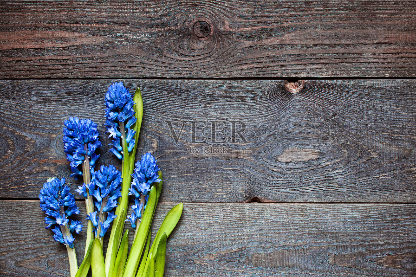 木制的背景与风信子照片摄影图片